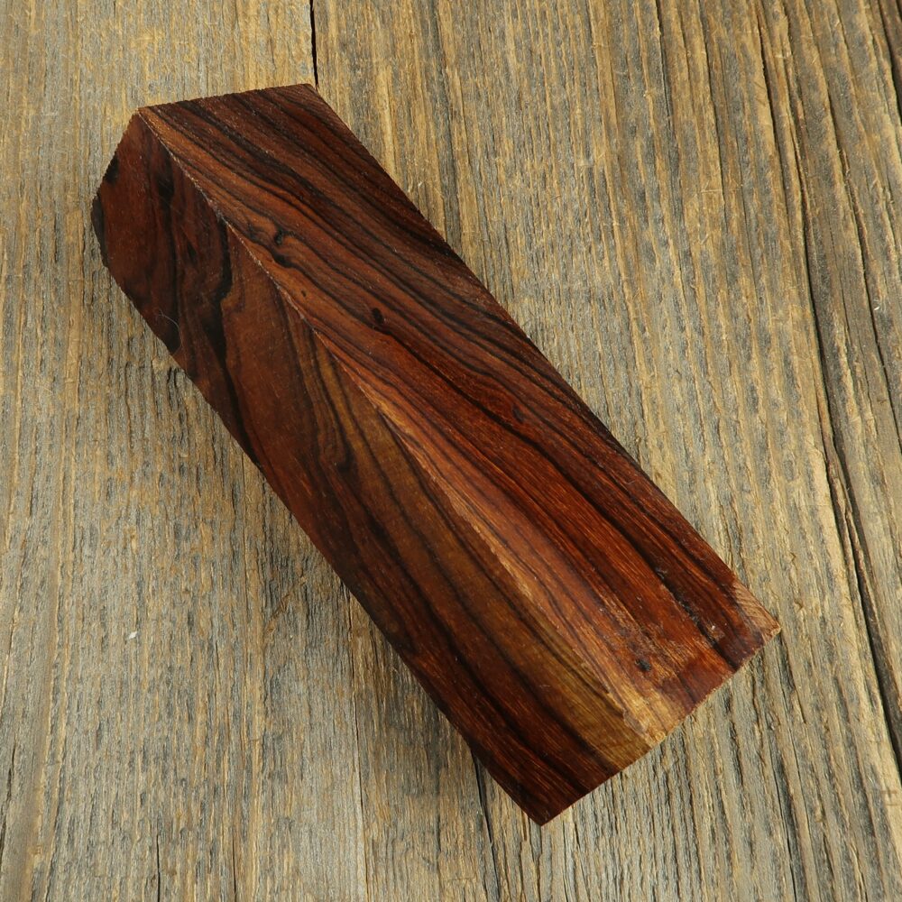 Arizona desert ironwood - 654