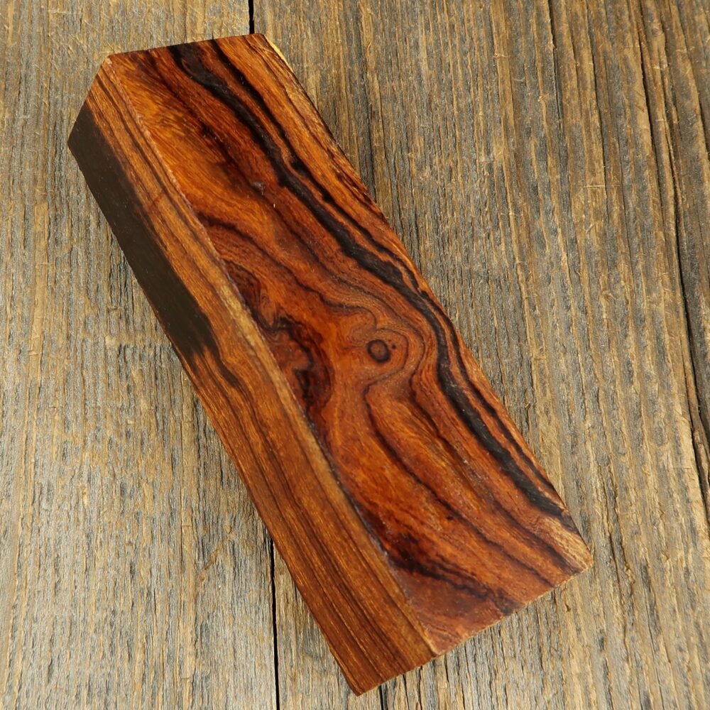 Arizona desert ironwood - 716