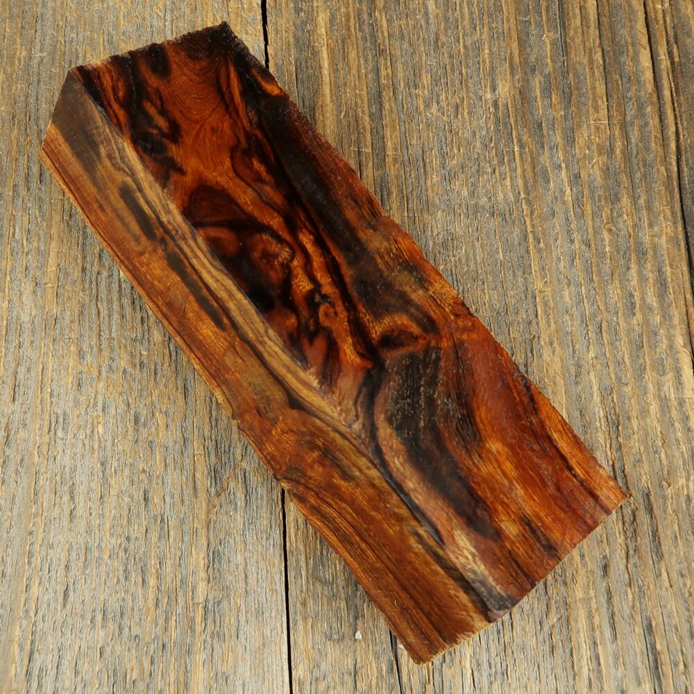 Arizona desert ironwood - 717