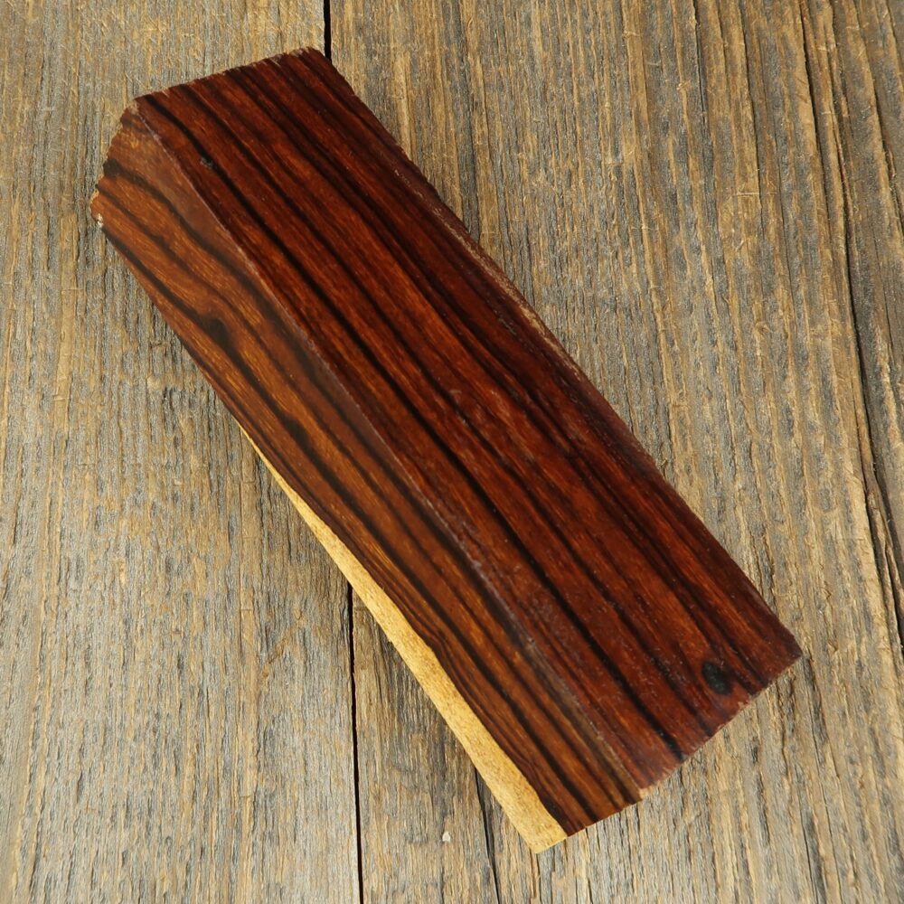 Arizona desert ironwood - 718