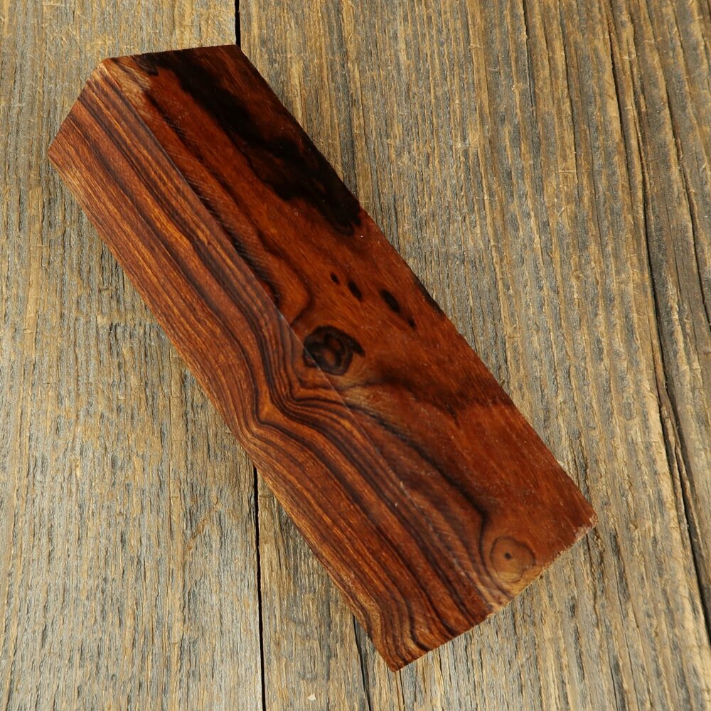 Arizona desert ironwood - 719