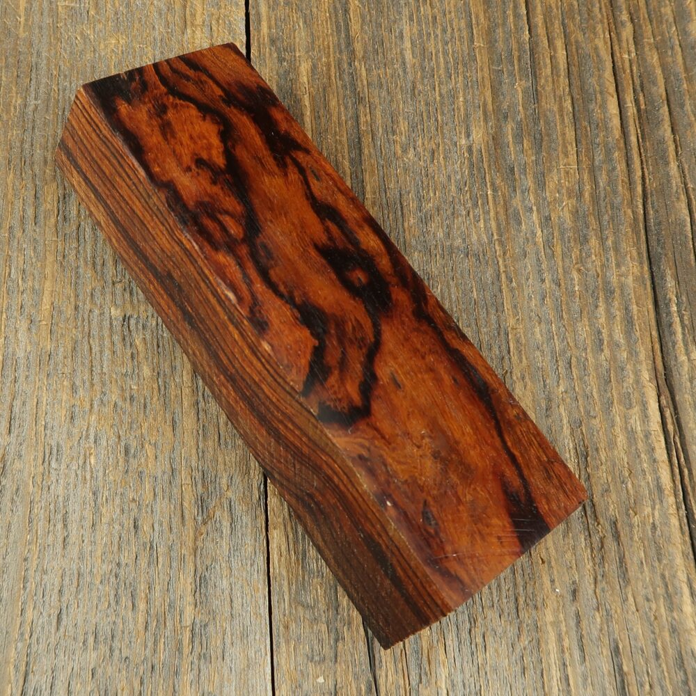 Arizona desert ironwood - 723