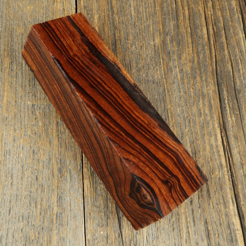 Arizona desert ironwood - 724