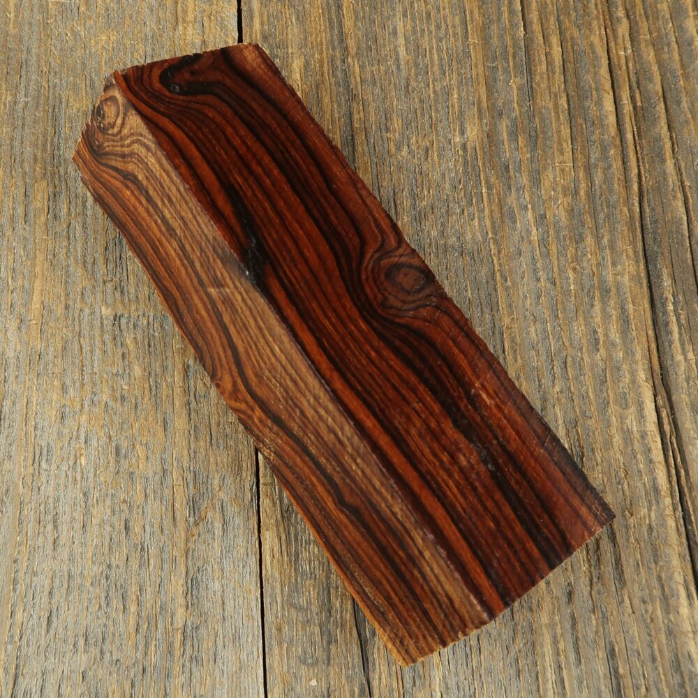 Arizona desert ironwood - 725