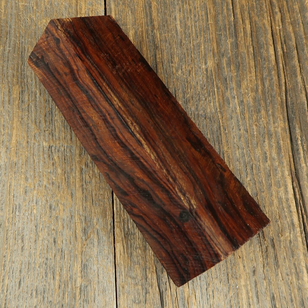 Arizona desert ironwood - 727