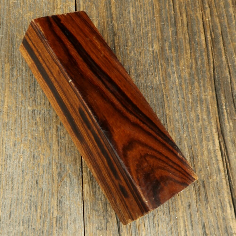 Arizona desert ironwood - 729