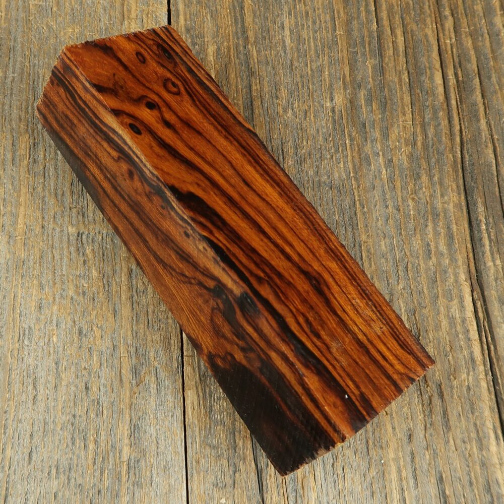 Arizona desert ironwood - 730