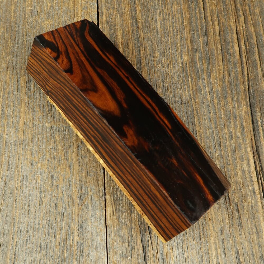 Arizona desert ironwood - 731