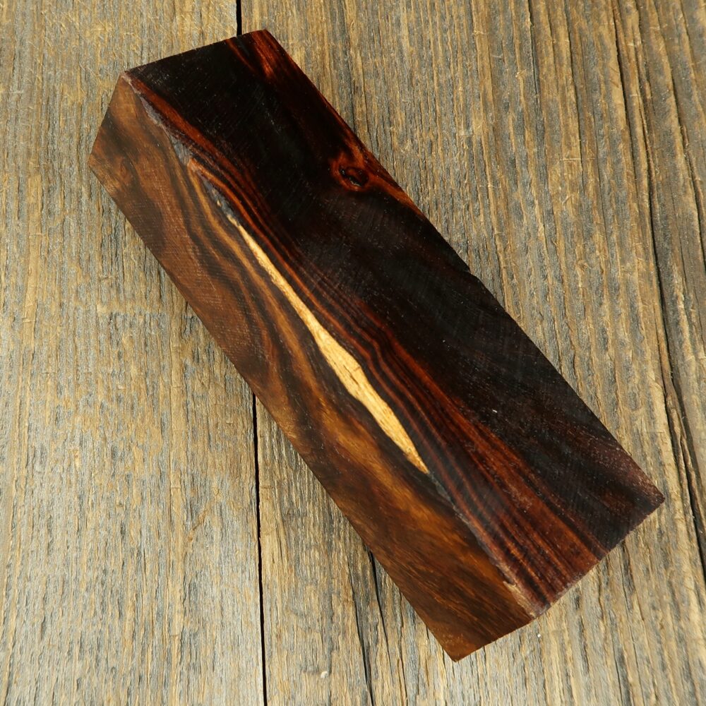 Arizona desert ironwood - 733