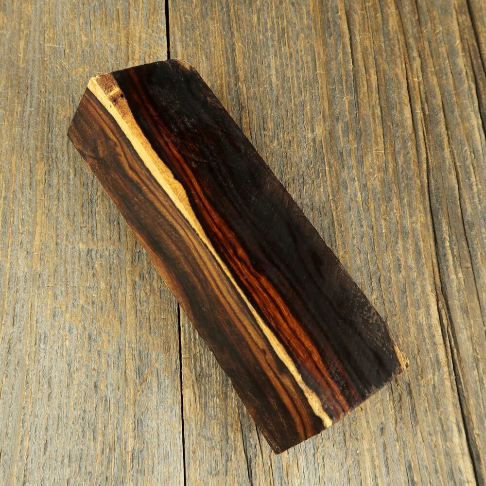 Arizona desert ironwood - 735