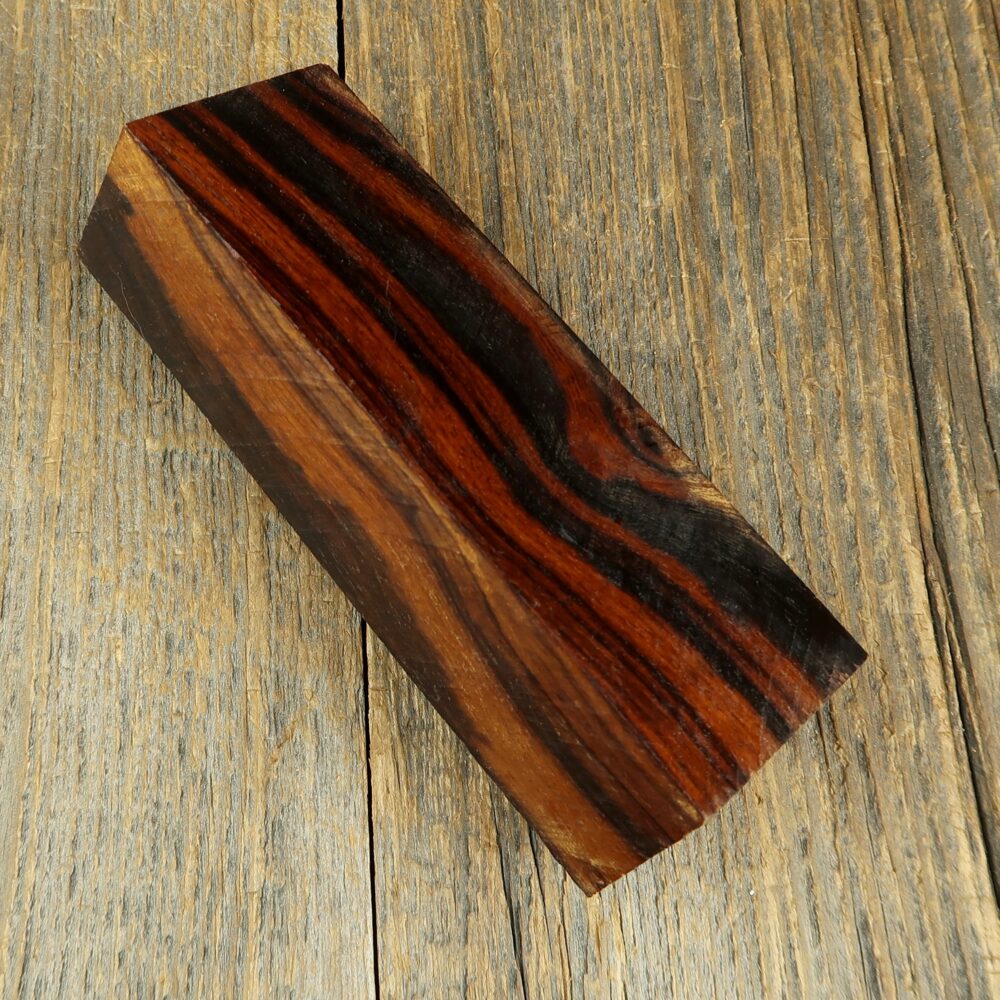 Arizona desert ironwood - 737