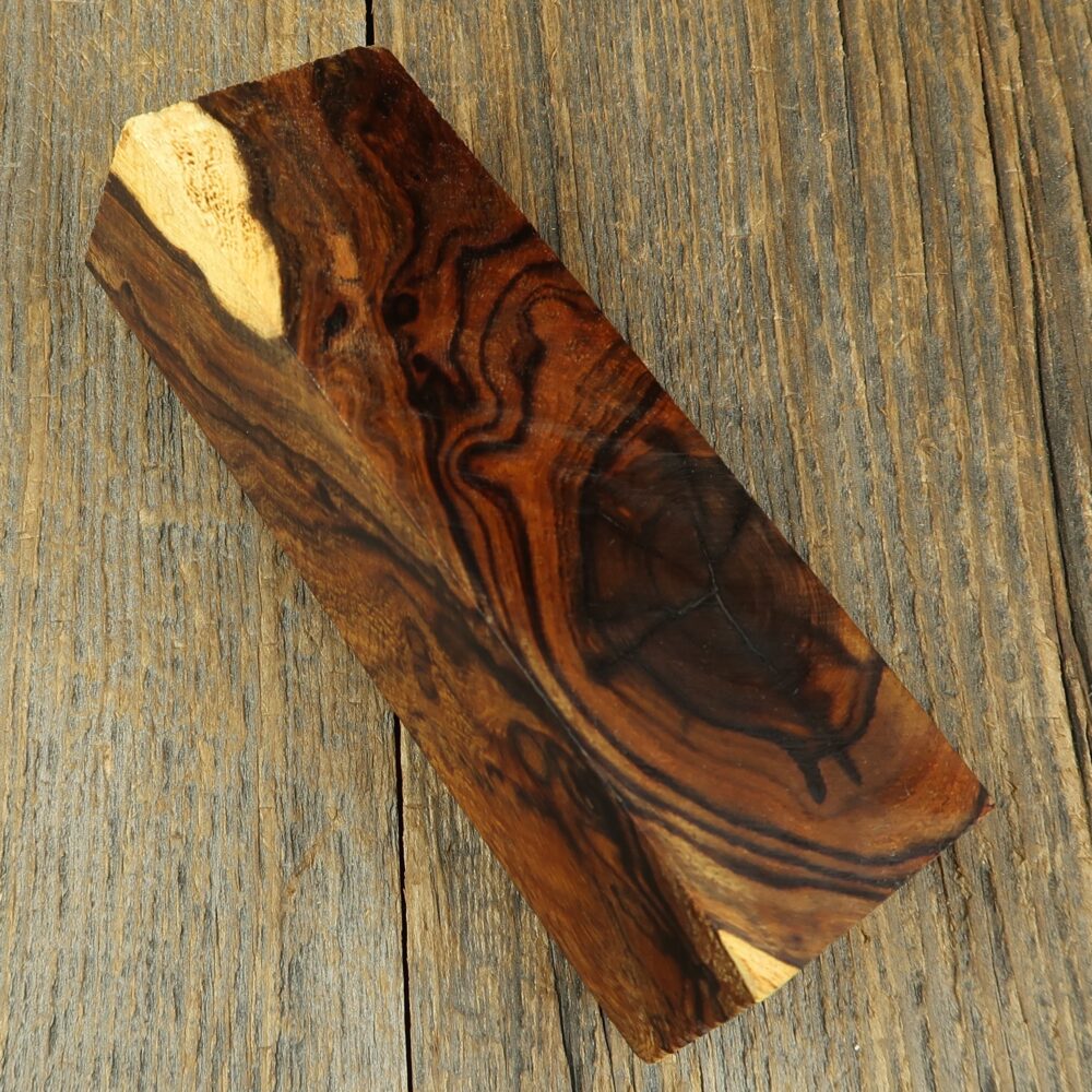 Arizona desert ironwood - 738