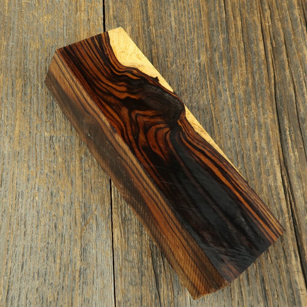 Arizona desert ironwood - 739