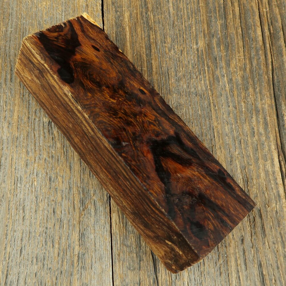 Arizona desert ironwood - 741