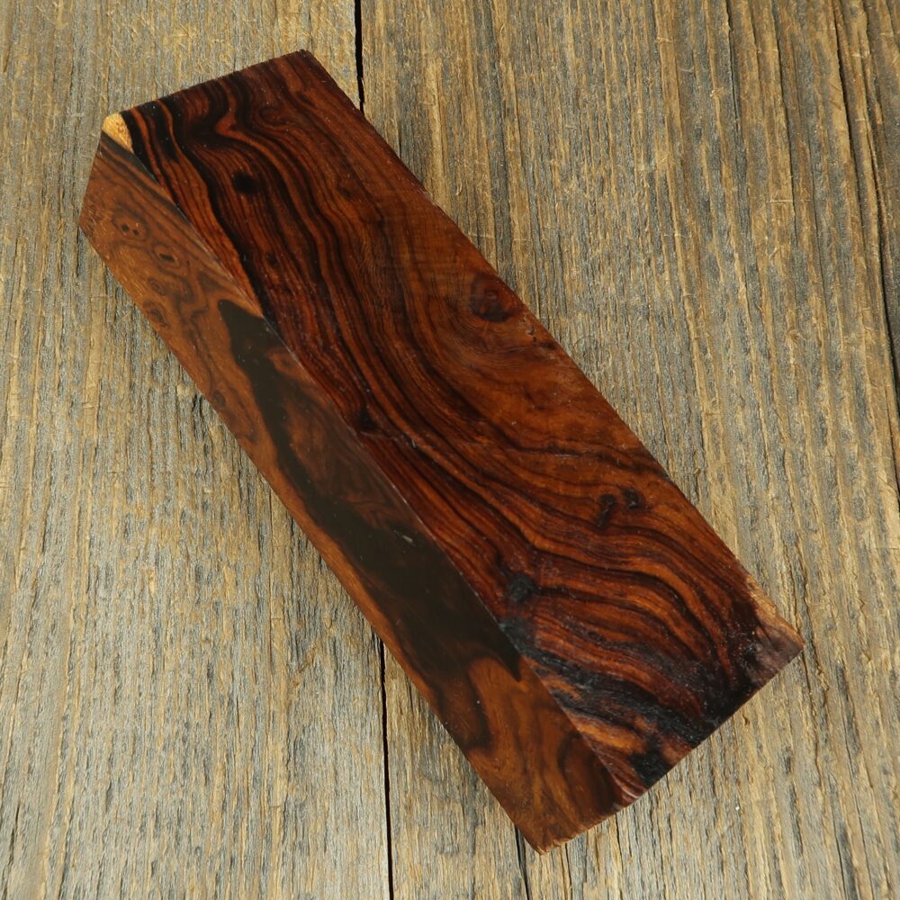 Arizona desert ironwood - 742