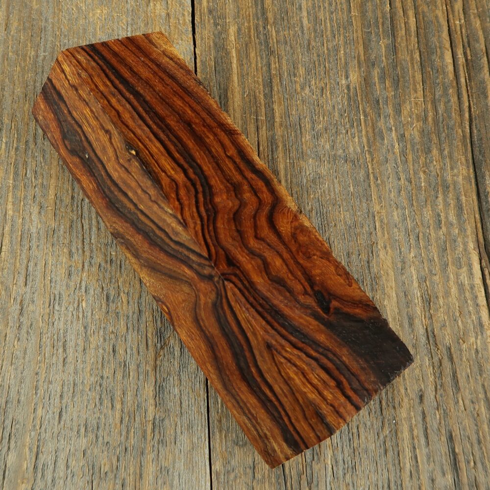 Arizona desert ironwood - 743