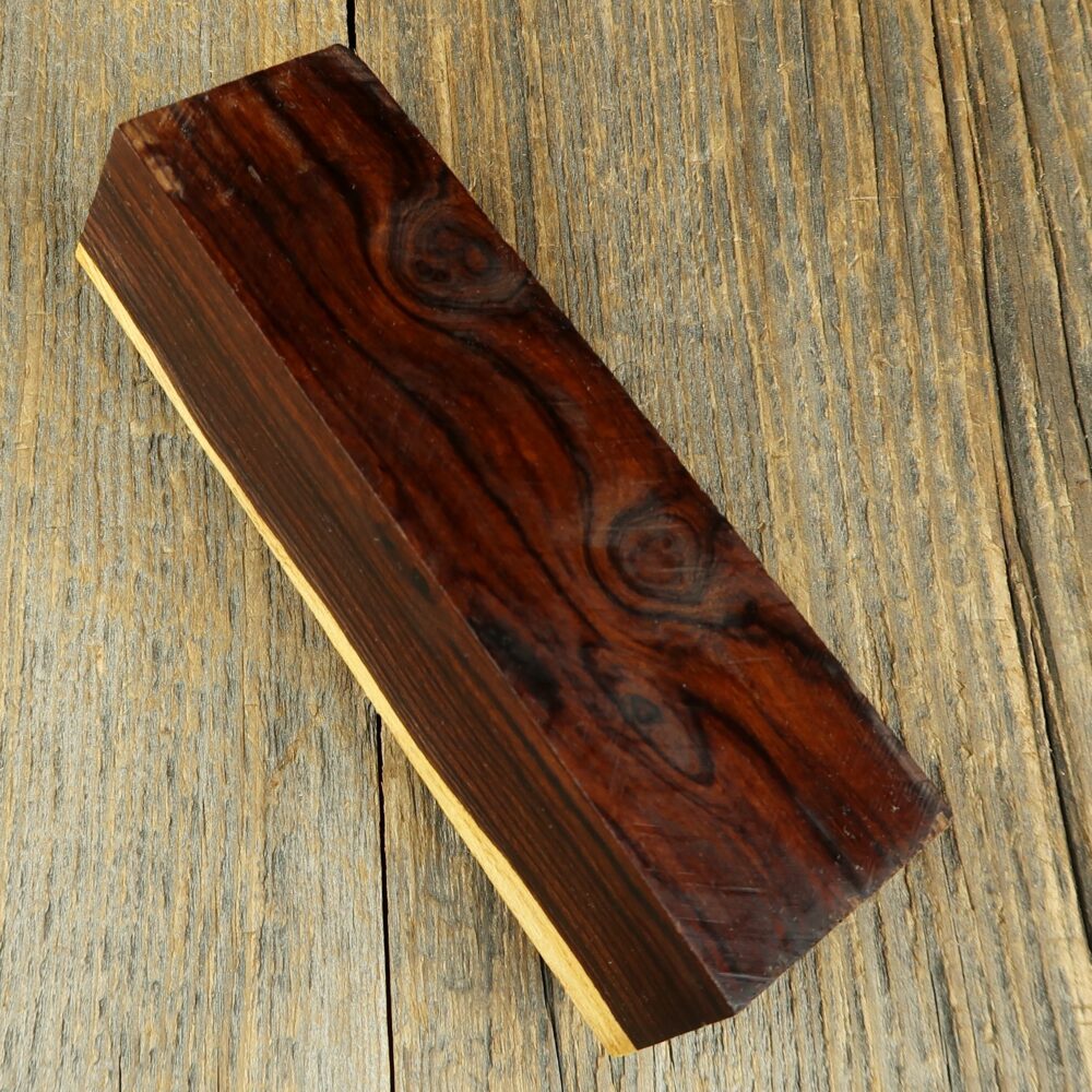 Arizona desert ironwood - 744