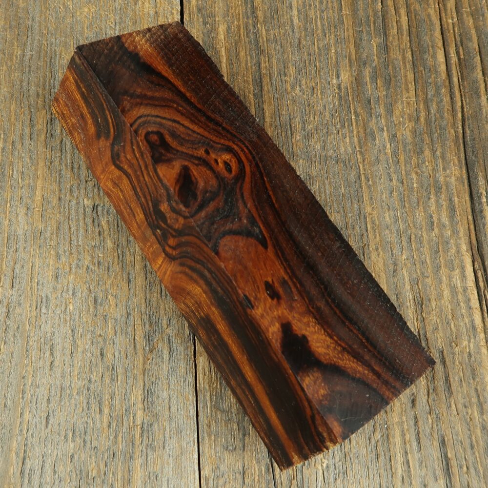 Arizona desert ironwood - 745