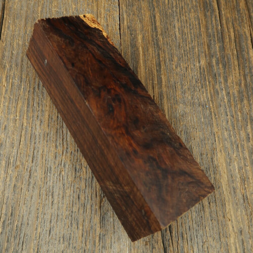 Arizona desert ironwood - 825