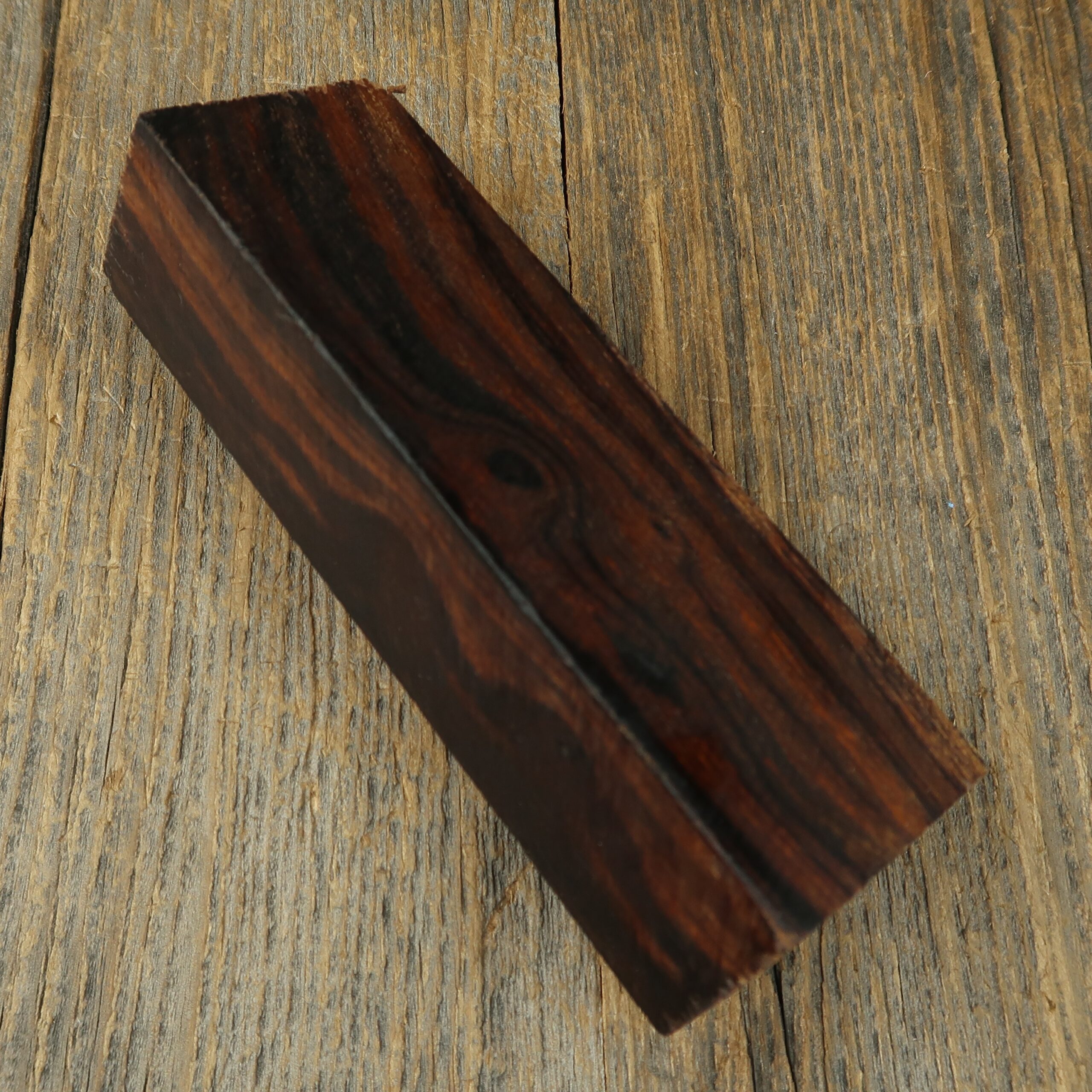 Arizona desert ironwood - 826