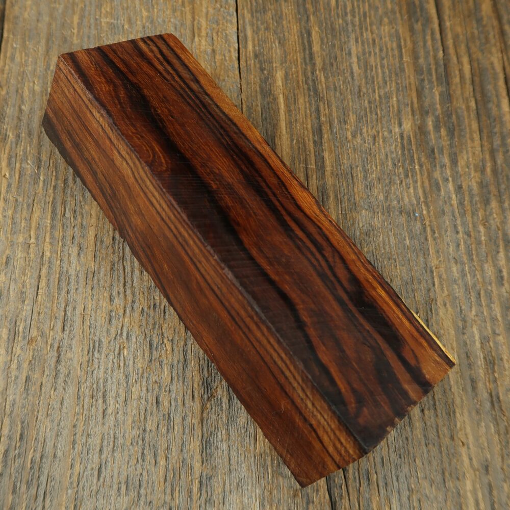 Arizona desert ironwood - 827