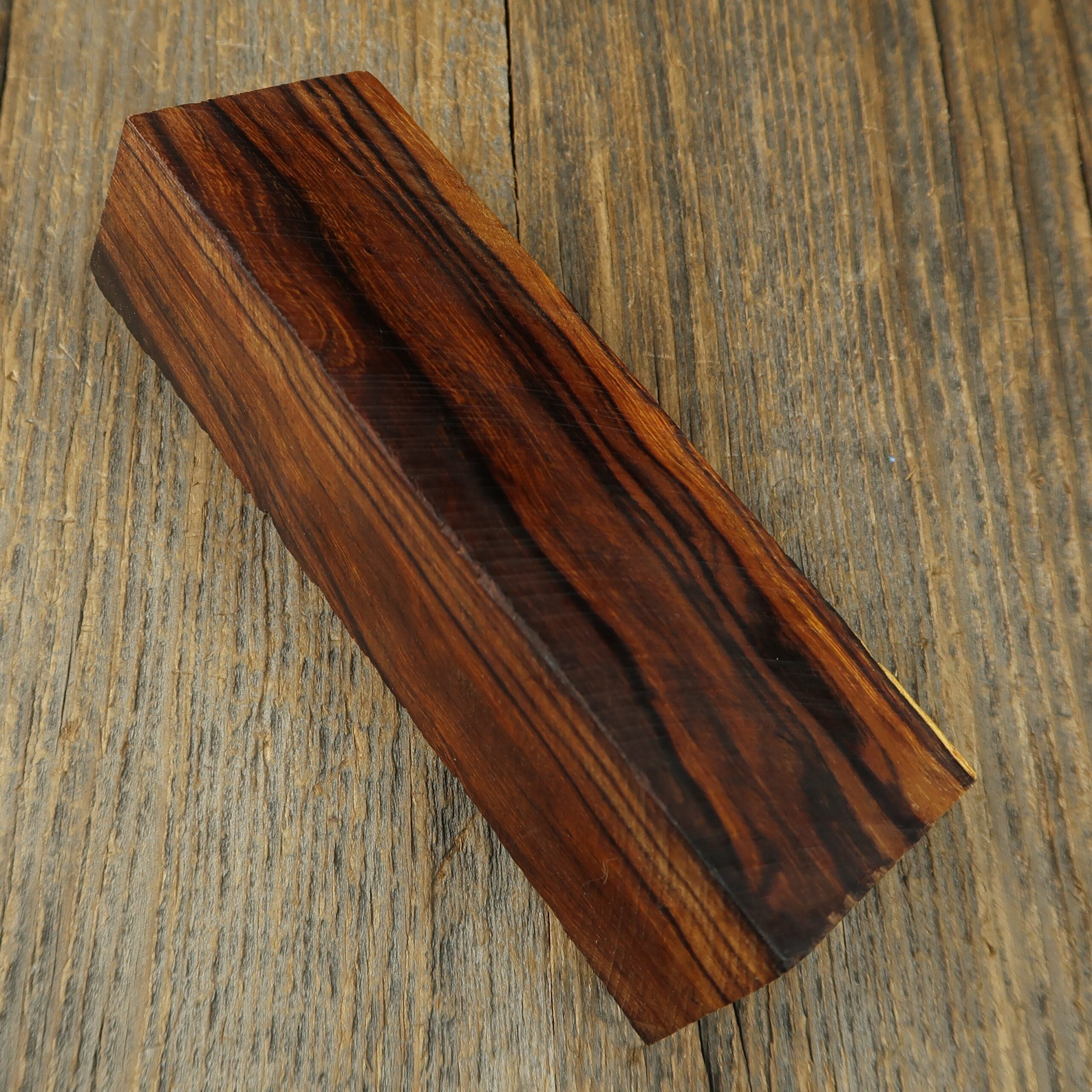 Arizona desert ironwood - 827