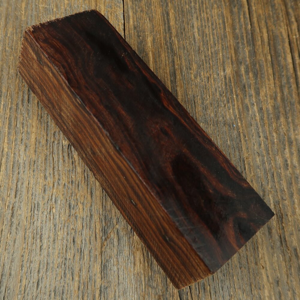 Arizona desert ironwood - 829