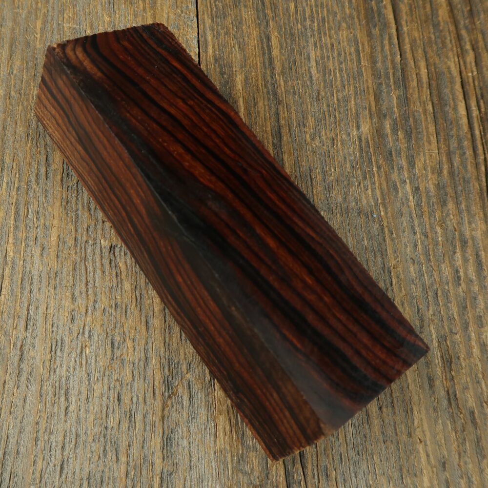 Arizona desert ironwood - 831