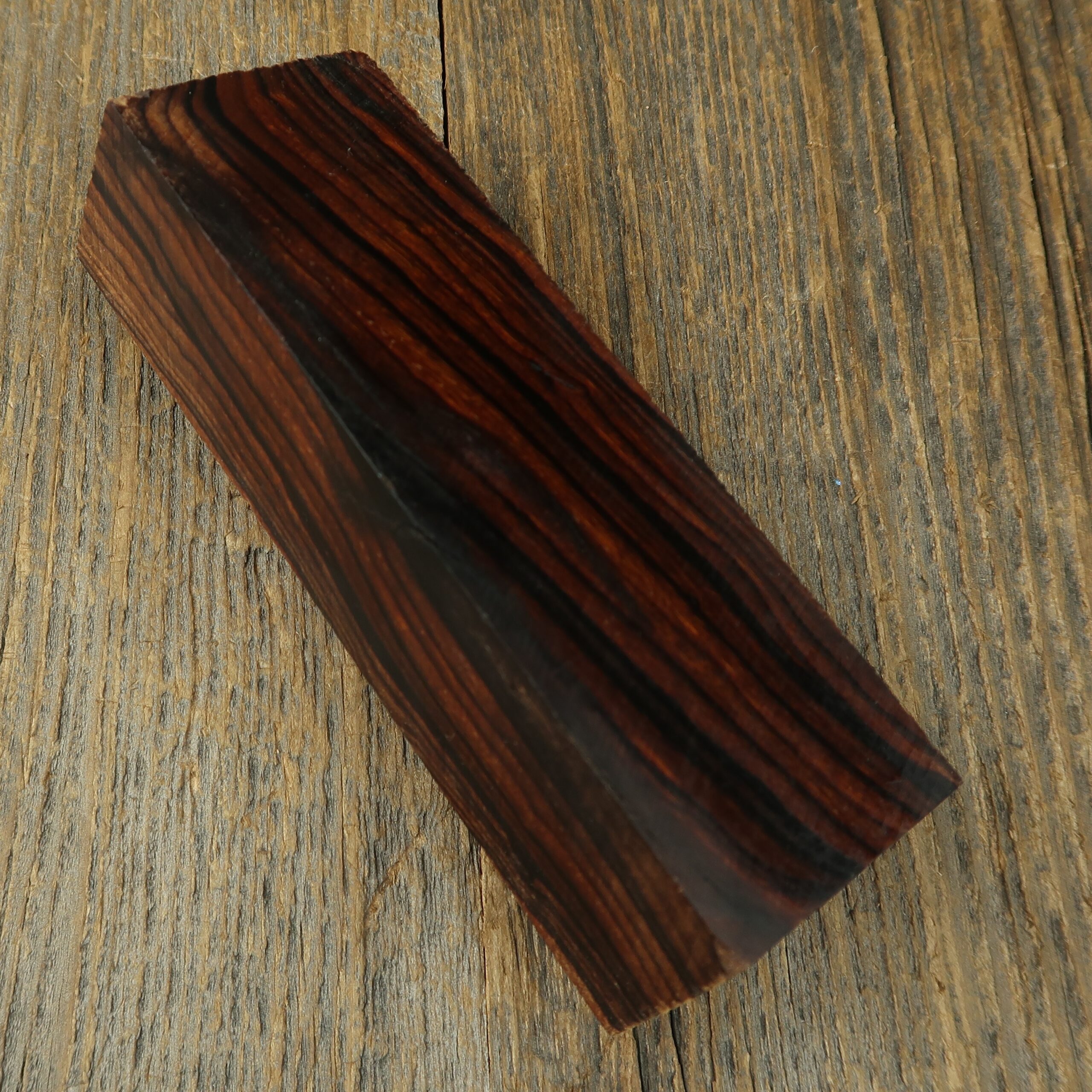Arizona desert ironwood - 831