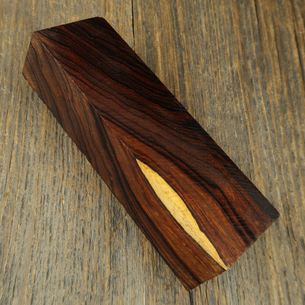 Arizona desert ironwood - 832