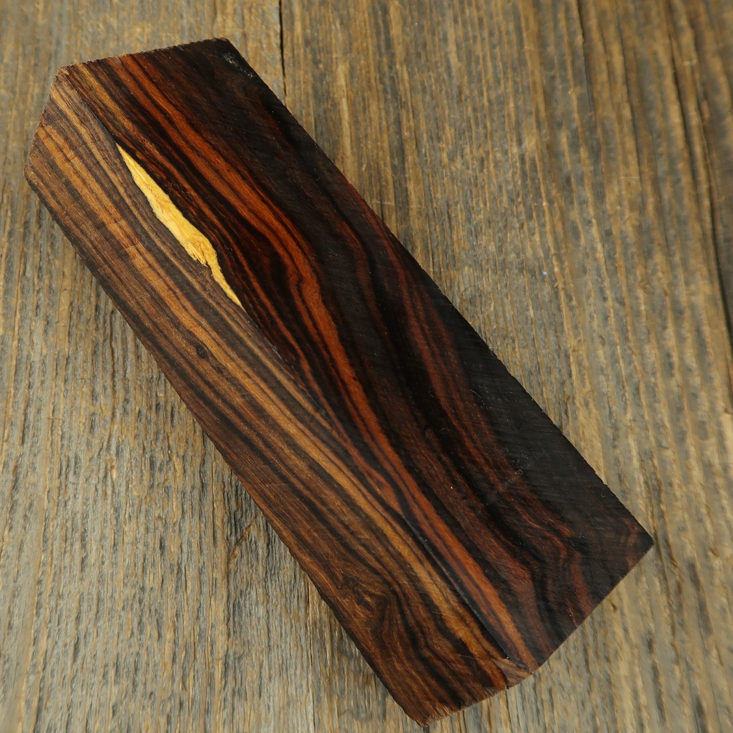Arizona desert ironwood - 833