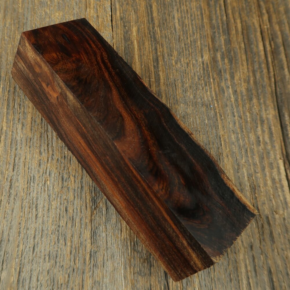 Arizona desert ironwood - 834
