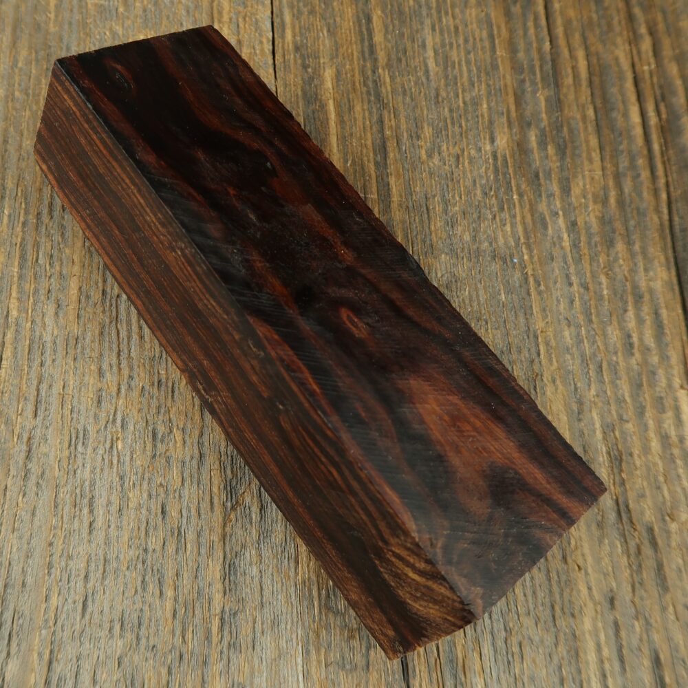 Arizona desert ironwood - 835