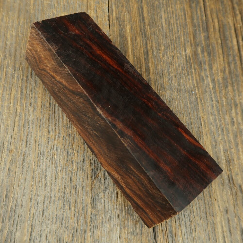 Arizona desert ironwood - 836