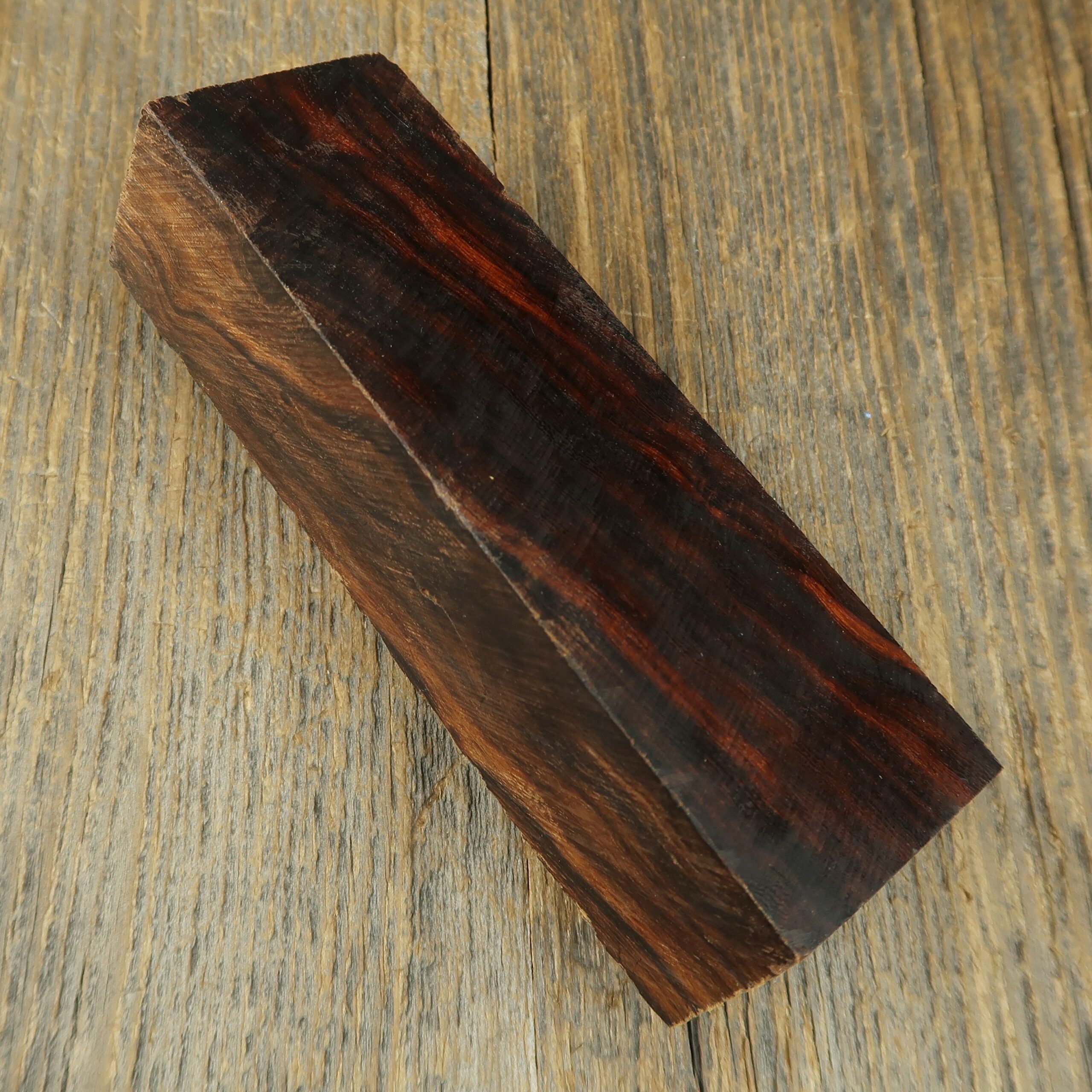 Arizona desert ironwood - 836